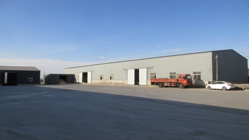 Cat litter Factory, cat litter quality, cat litter production