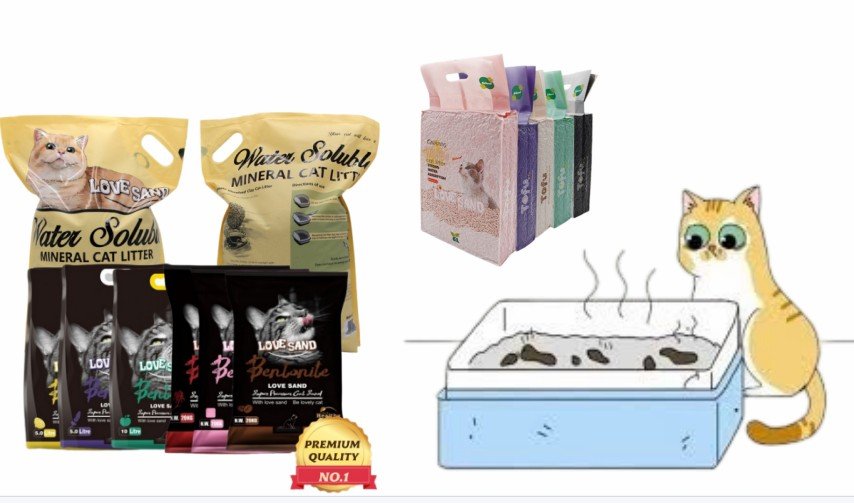 cat litter odor control