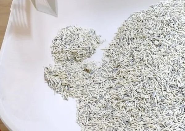 ทรายแมวติดก้น