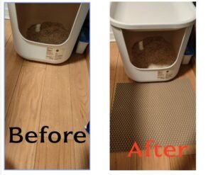 cat litter taken out of the basin