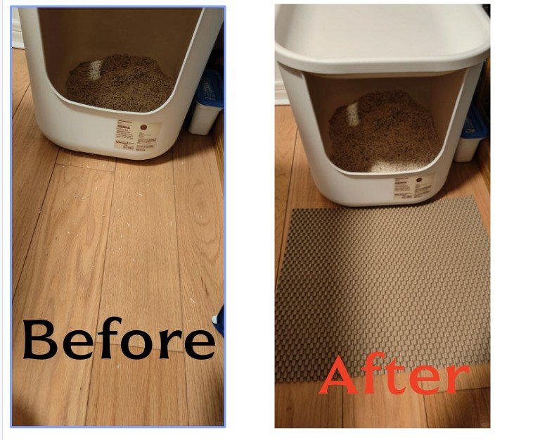 cat litter taken out of the basin, Cat Litter Tracking