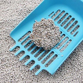mineral cat litter, cat litter clumping