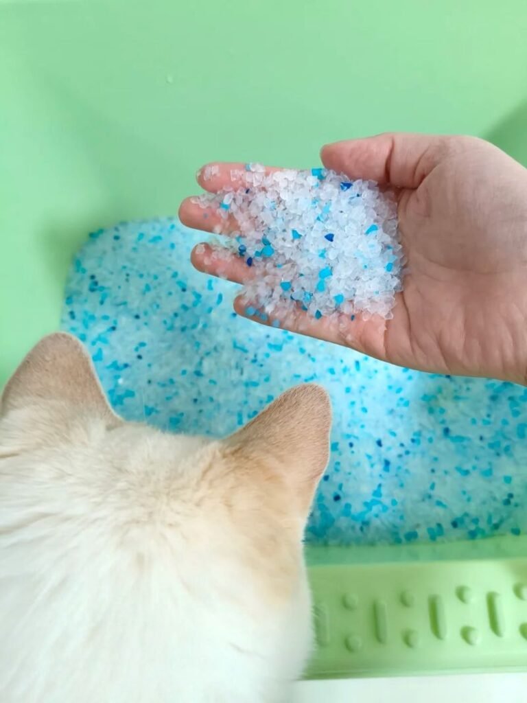 Silica gel cat litter, Silica gel cat litter application