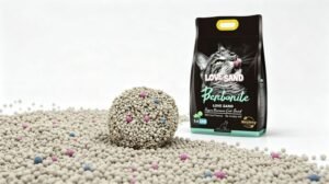 cat stress shedding, cat litter environment, bentonite cat litter