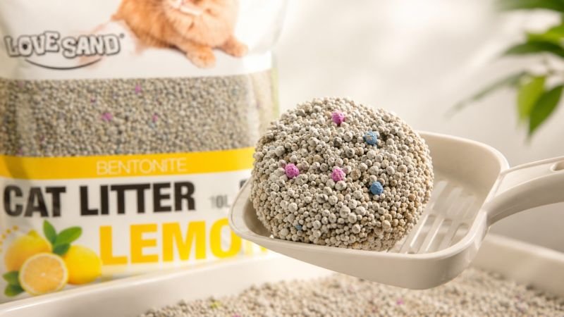 multi cat litter box setup, N+1 rule for cat litter boxes, Best cat litter for multi cat households