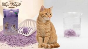flushable cat litter